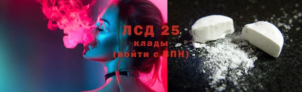 сатива Вяземский