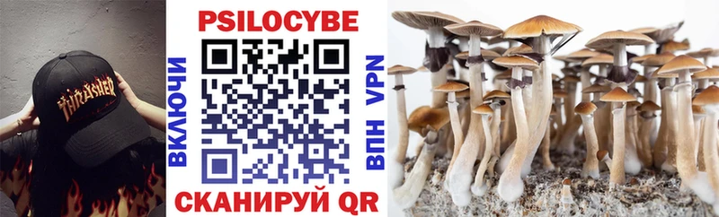 Купить где  Короча  Псилоцибиновые грибы мухоморы 